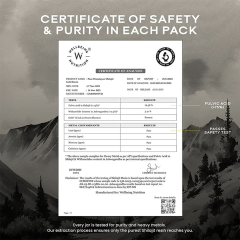 Wellbeing Nutrition Shilajit Gold