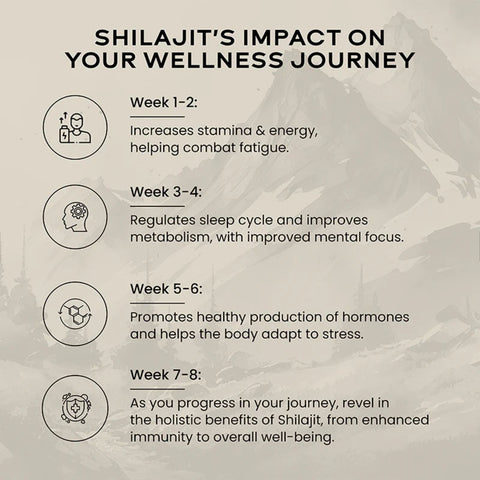 Wellbeing Nutrition Shilajit Resin 20gm