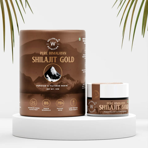 Wellbeing Nutrition Shilajit Gold
