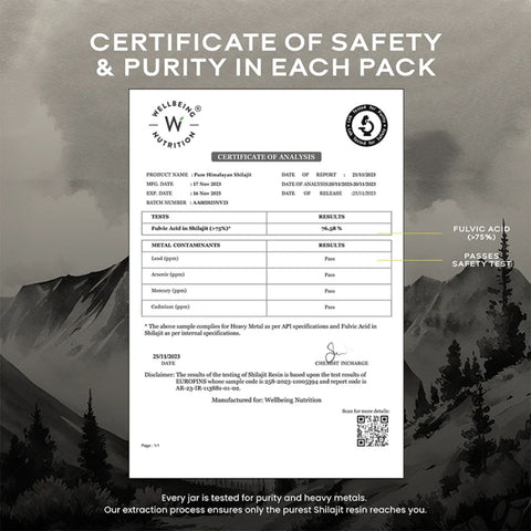 Wellbeing Nutrition Shilajit Resin 20gm